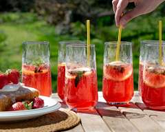 Emma-Britton-Floral-Decorative-Glass-Hiballs