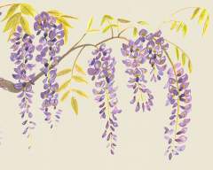 Wisteria in Linen - Emma Britton Splashback