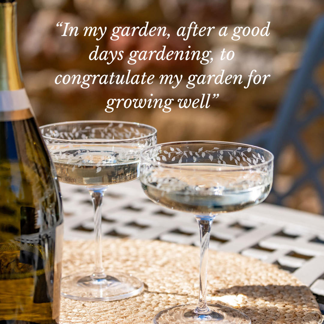 Emma Britton Silver Birch Champagne Coupes