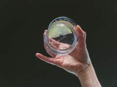 Emma Britton Silver Birch Tumbler Glass for Beer