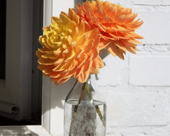 Floral Milk Bottle Emma Britton Floral Milk Bottle